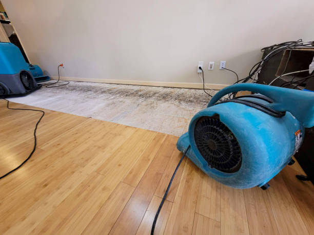 Professional Sewage Cleanup technician working in Hagerstown, MD